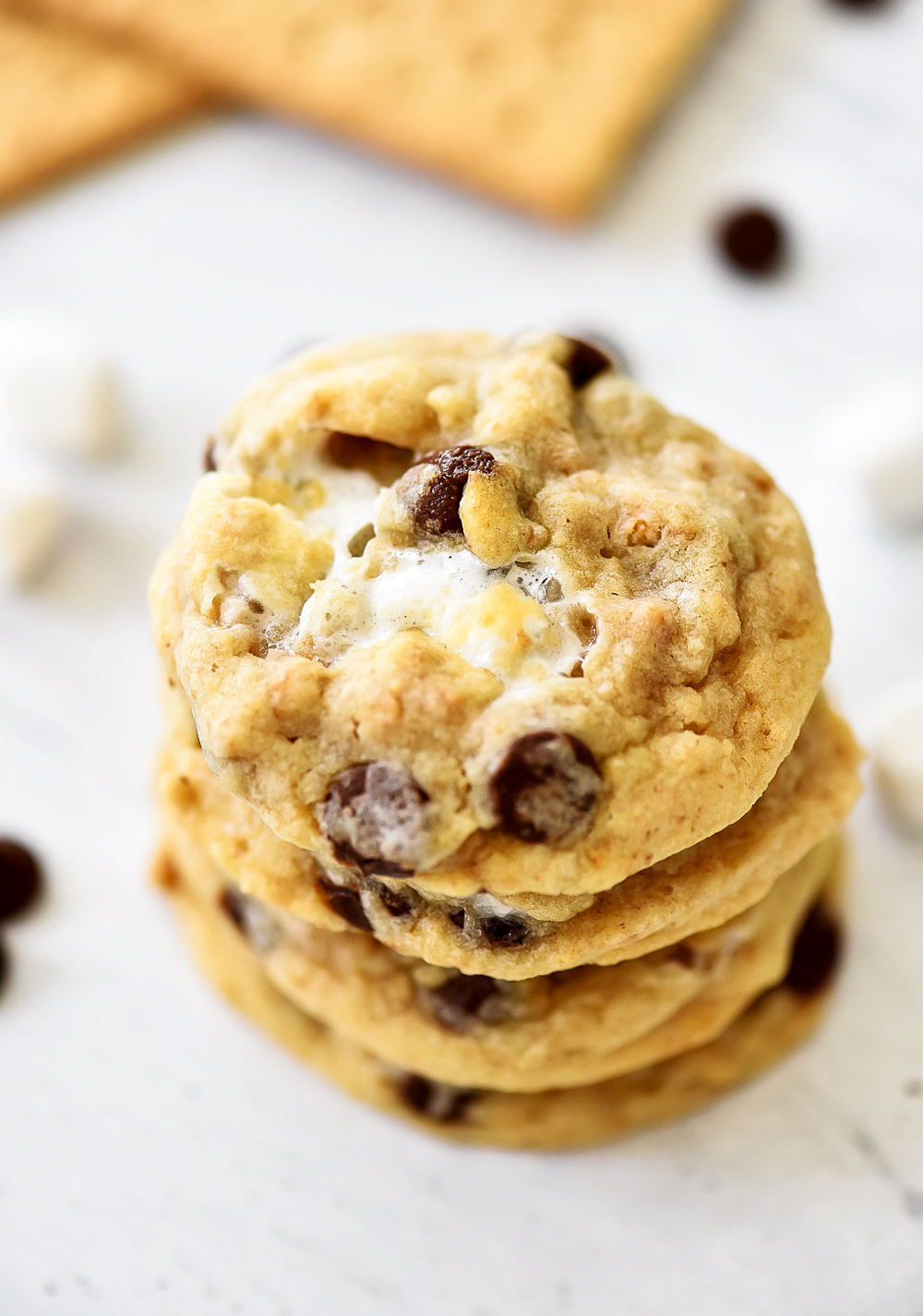 Chocolate Chip Cookies filled with marshmallow and graham cracker crumbs. Life-in-the-Lofthouse.com