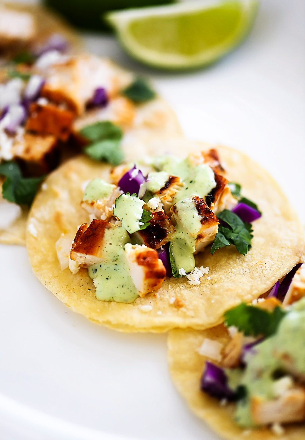 Chicken Street Tacos are filled with grilled chicken, onion, cabbage and fresh cilantro. Life-in-the-Lofthouse.com