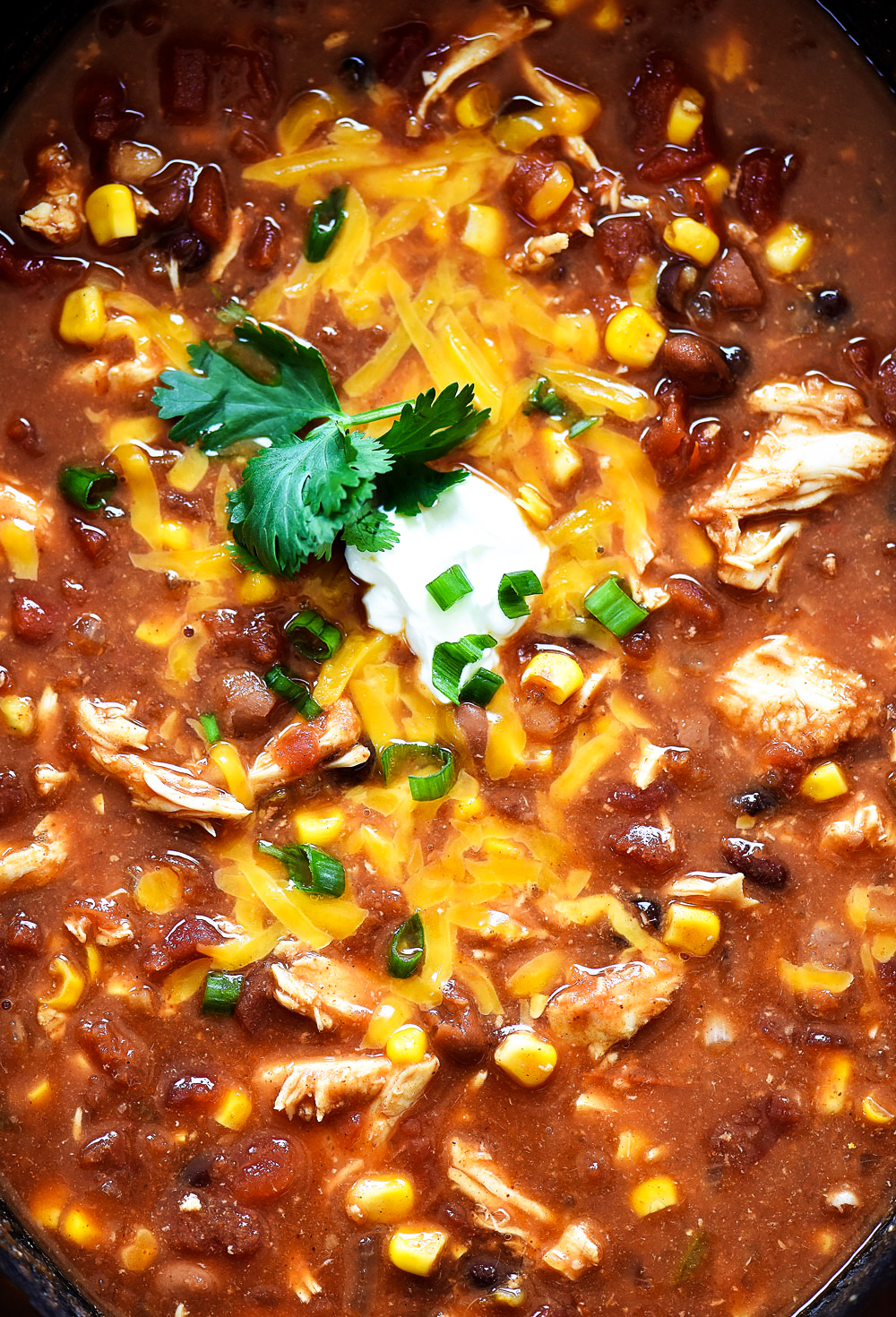 Chicken Taco Soup made in a slow cooker with chicken breasts, beans, corn, tomato sauce, chicken broth and taco seasoning. Life-in-the-Lofthouse.com