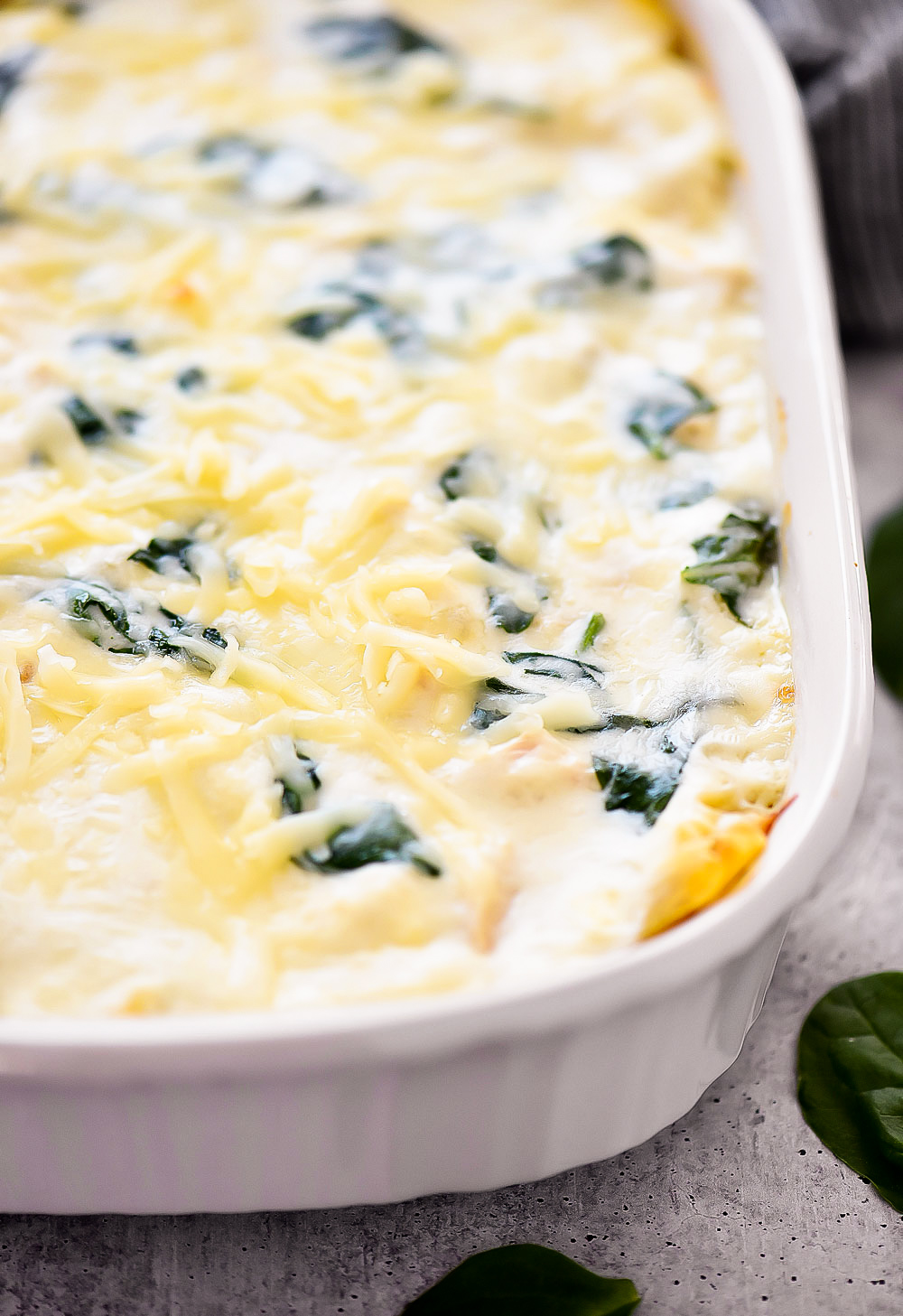 A white cheese lasagna with layers of noodles, white cheese sauce, Mozzarella cheese and spinach leaves. Life-in-the-Lofthouse.com