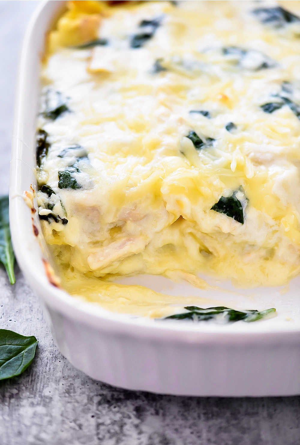 A white cheese lasagna with layers of noodles, white cheese sauce, Mozzarella cheese and spinach leaves. Life-in-the-Lofthouse.com
