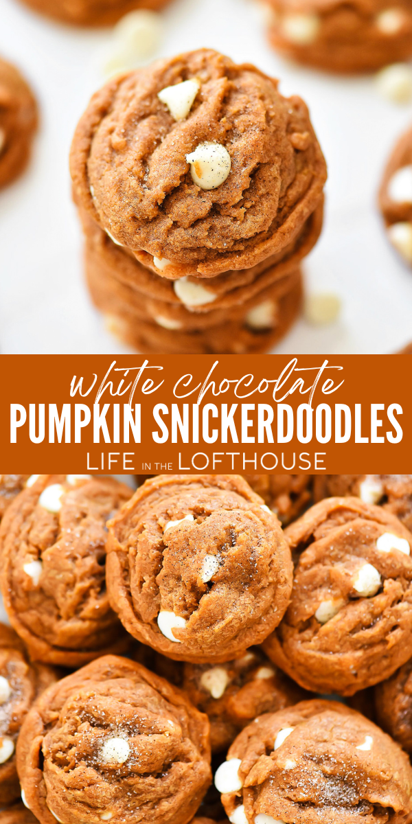White Chocolate Pumpkin Snickerdoodles are so delicious and perfect for the fall season. These cookies are soft, loaded with white chocolate chips and filled with pumpkin flavor.