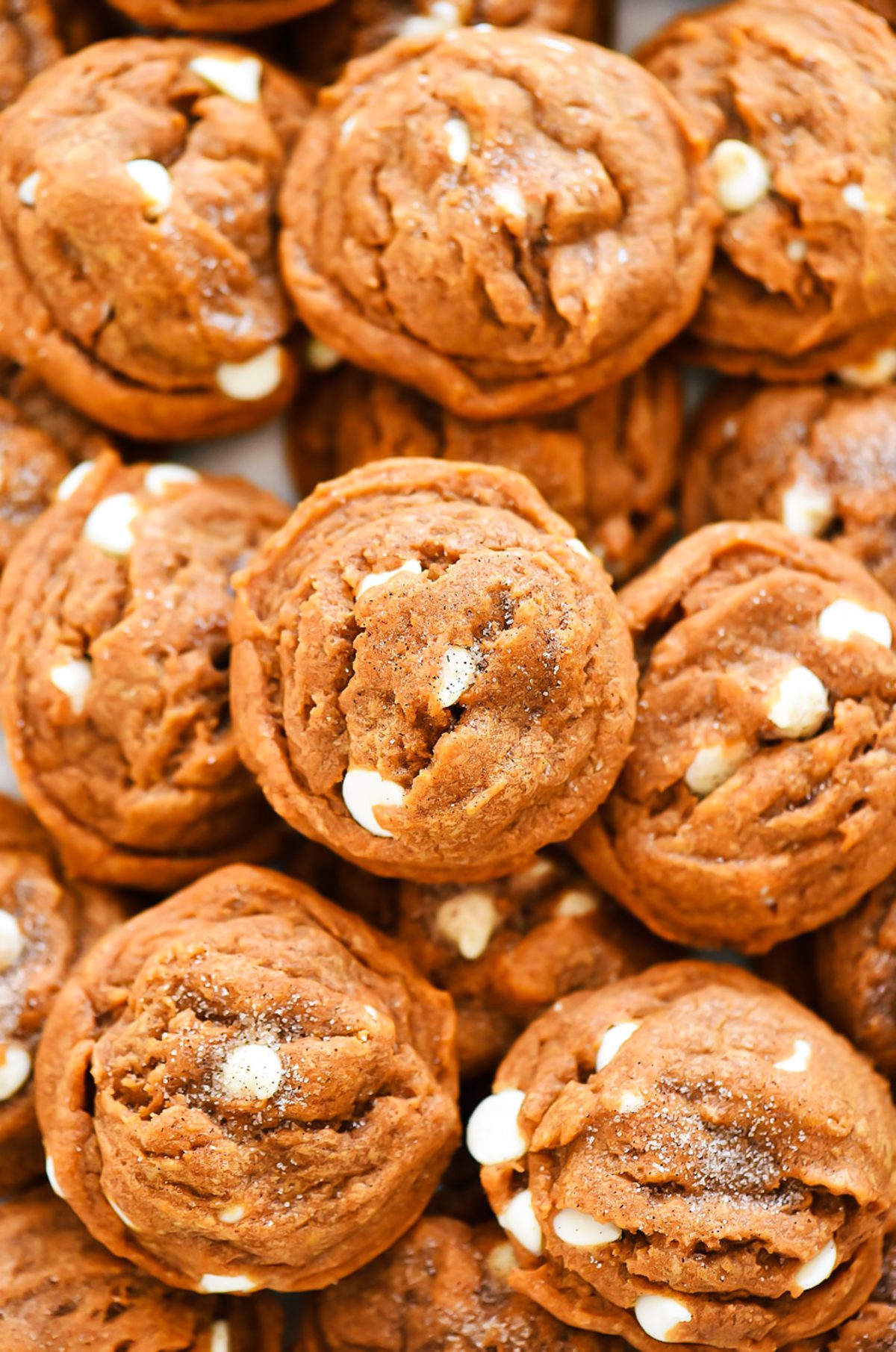 Pumpkin Snickerdoodles