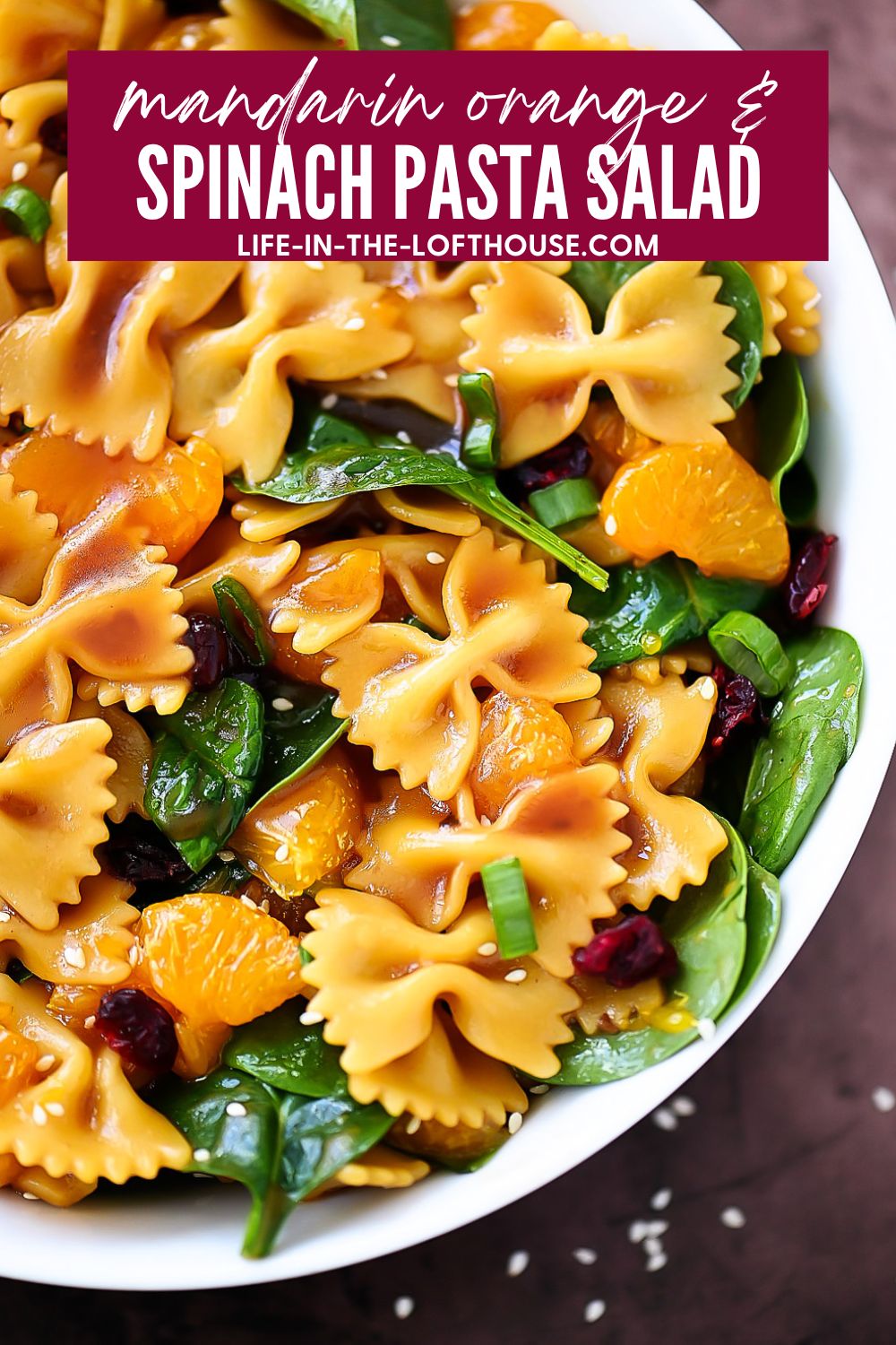 Mandarin Orange and Spinach Pasta Salad is bow tie pasta noodles coated in teriyaki sauce with oranges, spinach and dried cranberries. Life-in-the-Lofthouse.com