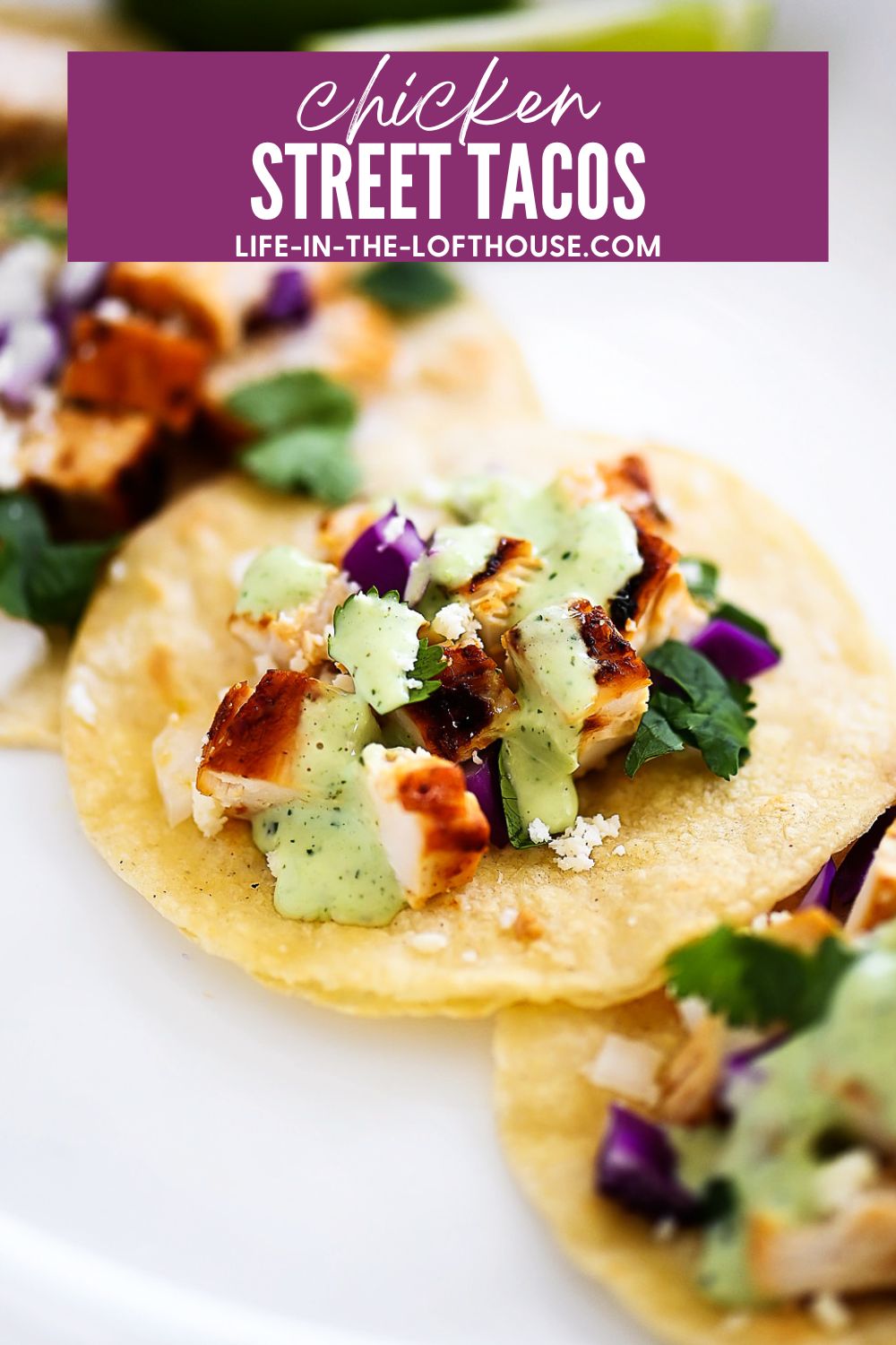 Chicken Street Tacos are filled with grilled chicken, onion, cabbage and fresh cilantro. Life-in-the-Lofthouse.com