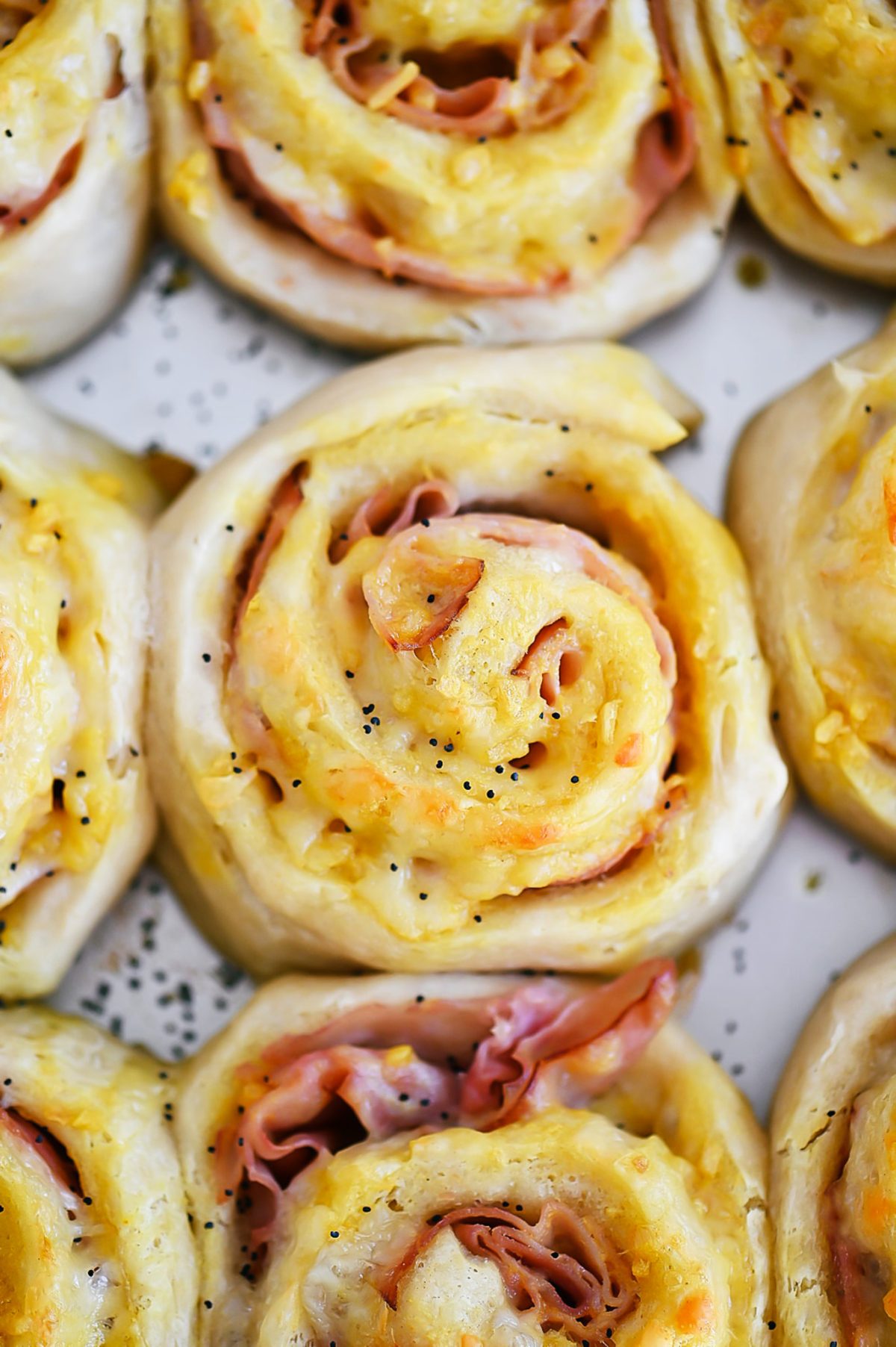 Ham and Cheese Roll Ups