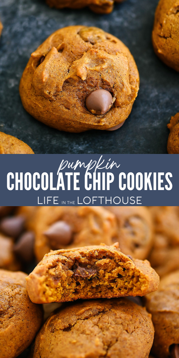 Bake soft, chewy Pumpkin Chocolate Chip Cookies with canned pumpkin and milk chocolate chips — better than store-bought and perfect for fall!