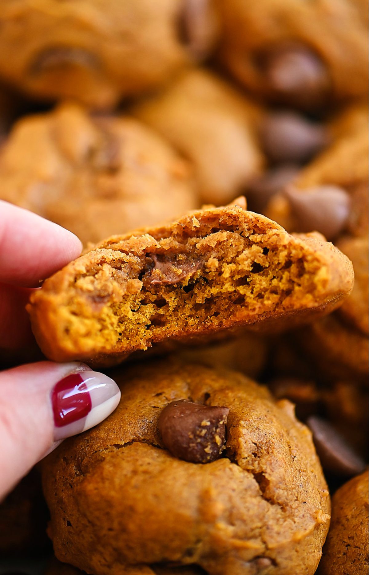 Chocolate Chip Cookies with Pumpkin