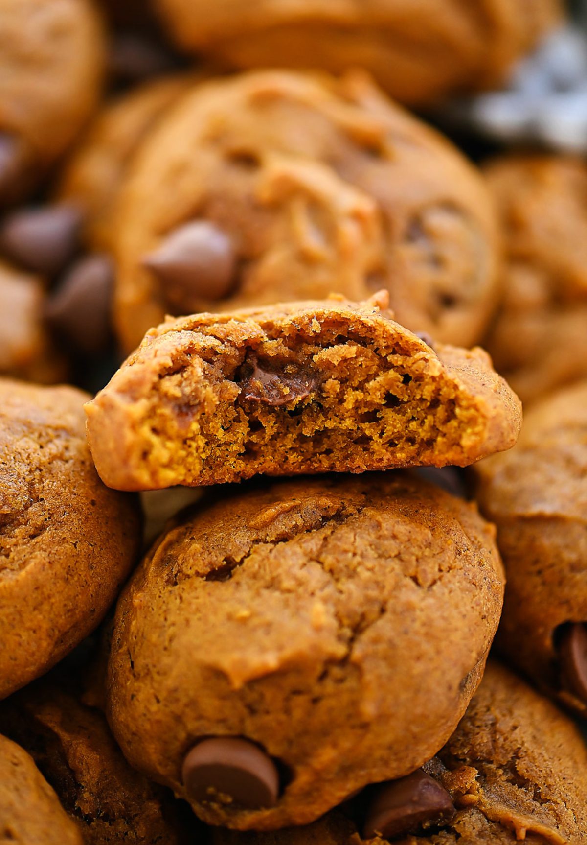 Chocolate Chip Cookies with Pumpkin