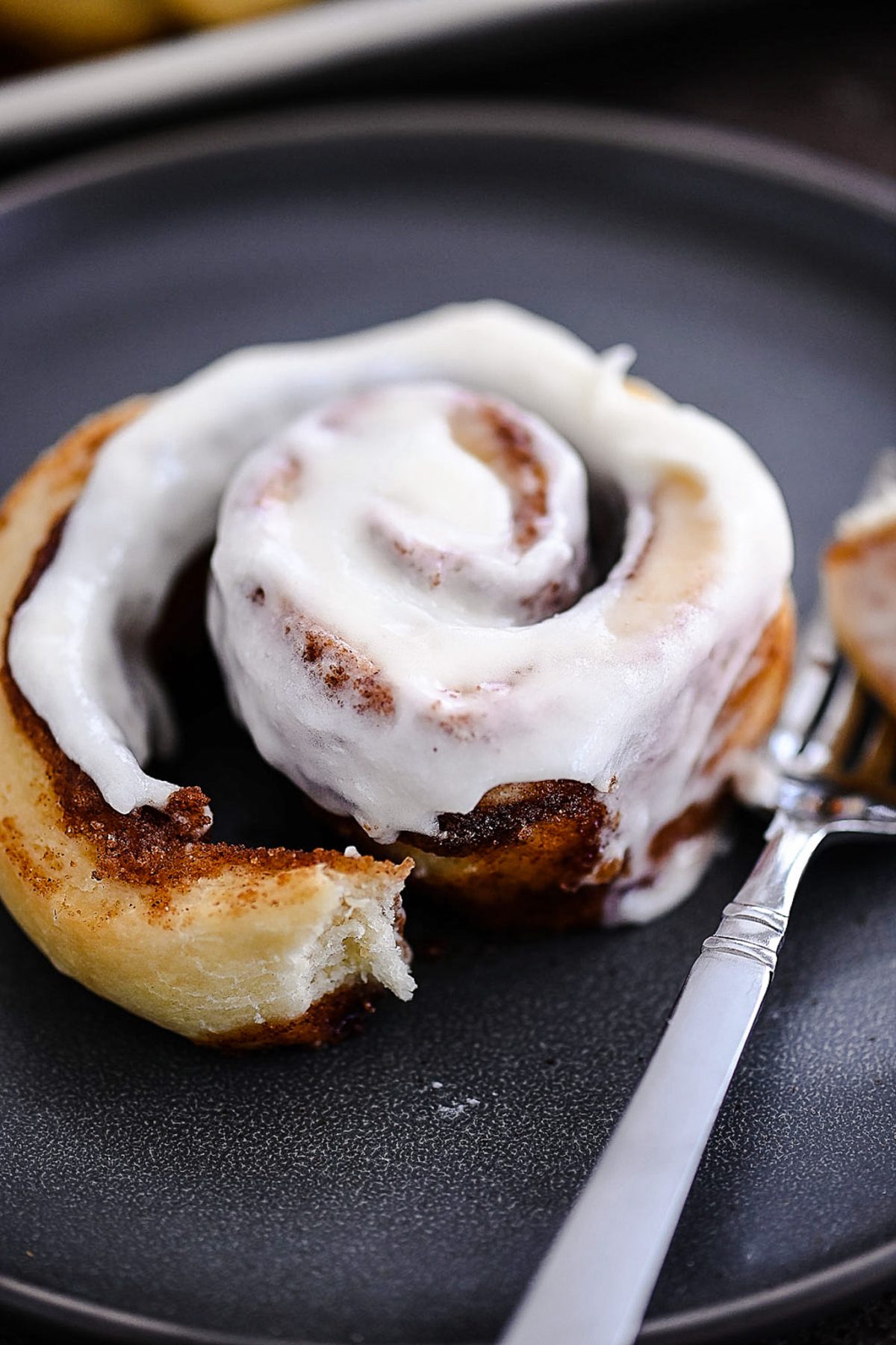 These copycat Cinnabon Cinnamon Rolls are delicious, soft and taste like the ones from the famous chain. Life-in-the-Lofthouse.com