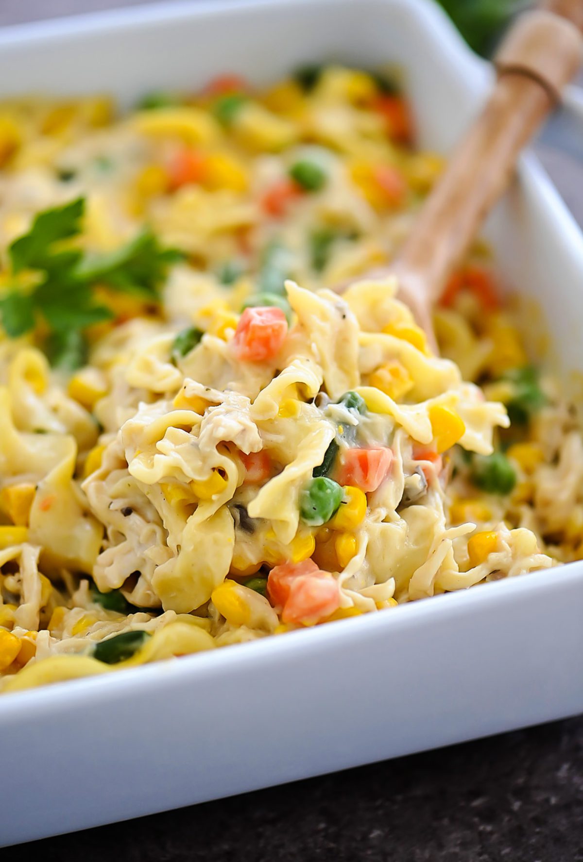 Chicken Noodle Casserole is filled with chicken, veggies and noodles- just like the famous chicken noodle soup. Life-in-the-Lofthouse.com