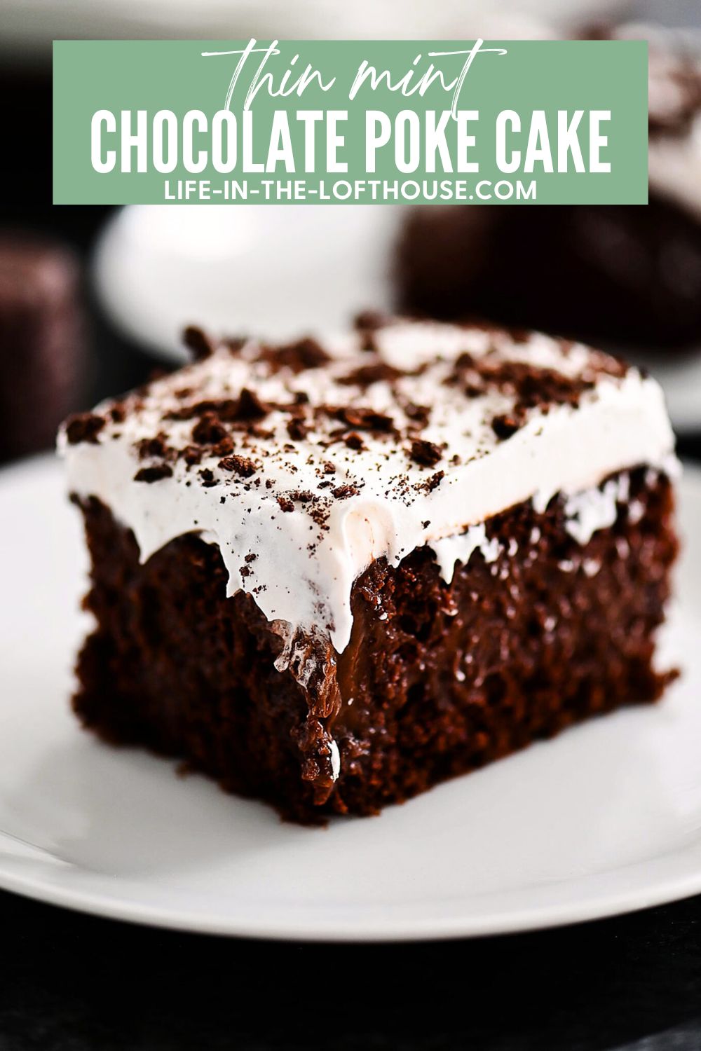 This incredible&nbsp;Thin Mint Chocolate Poke Cake is filled with chocolate pudding, crushed thin mint cookies and topped with a creamy peppermint whipped topping. Life-in-the-Lofthouse.com