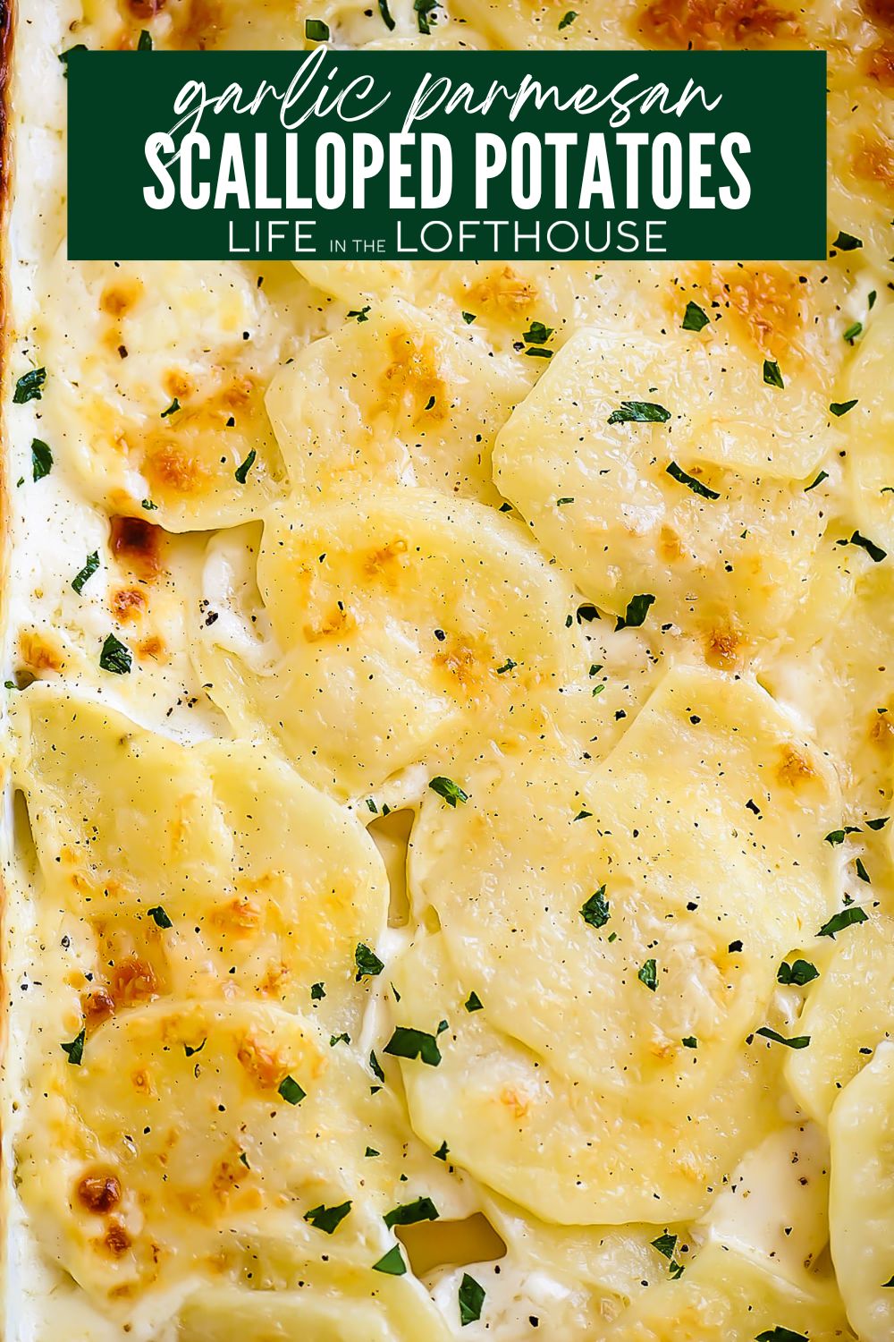 Parmesan Scalloped Potatoes with garlic