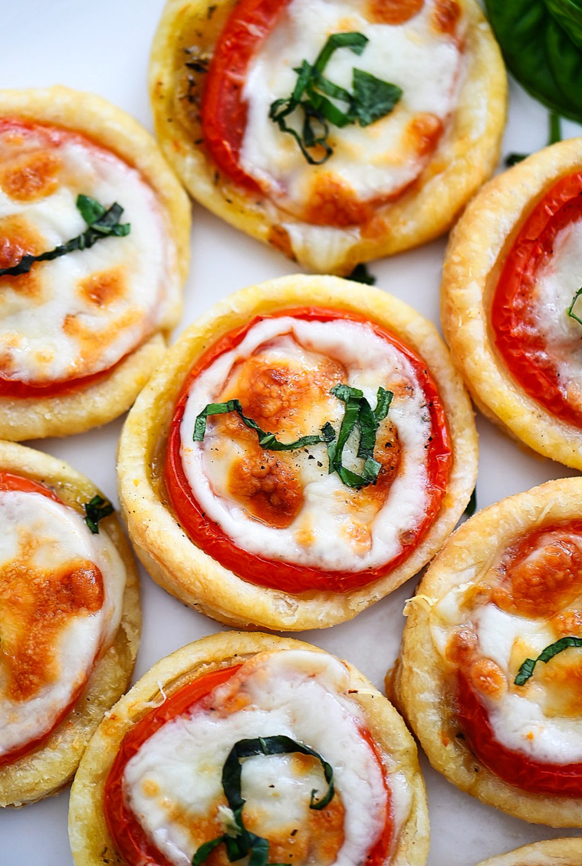 Savory Tarts 