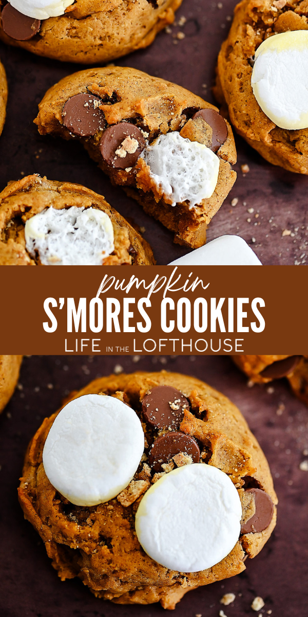 Pumpkin S&rsquo;mores Cookies are an incredible marriage between two seasonal favorites. These delicious pumpkin cookies are infused with chocolate, marshmallows, and graham crackers!