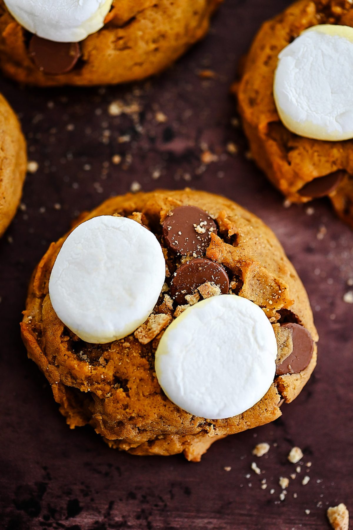 The Best Pumpkin S'mores Cookies