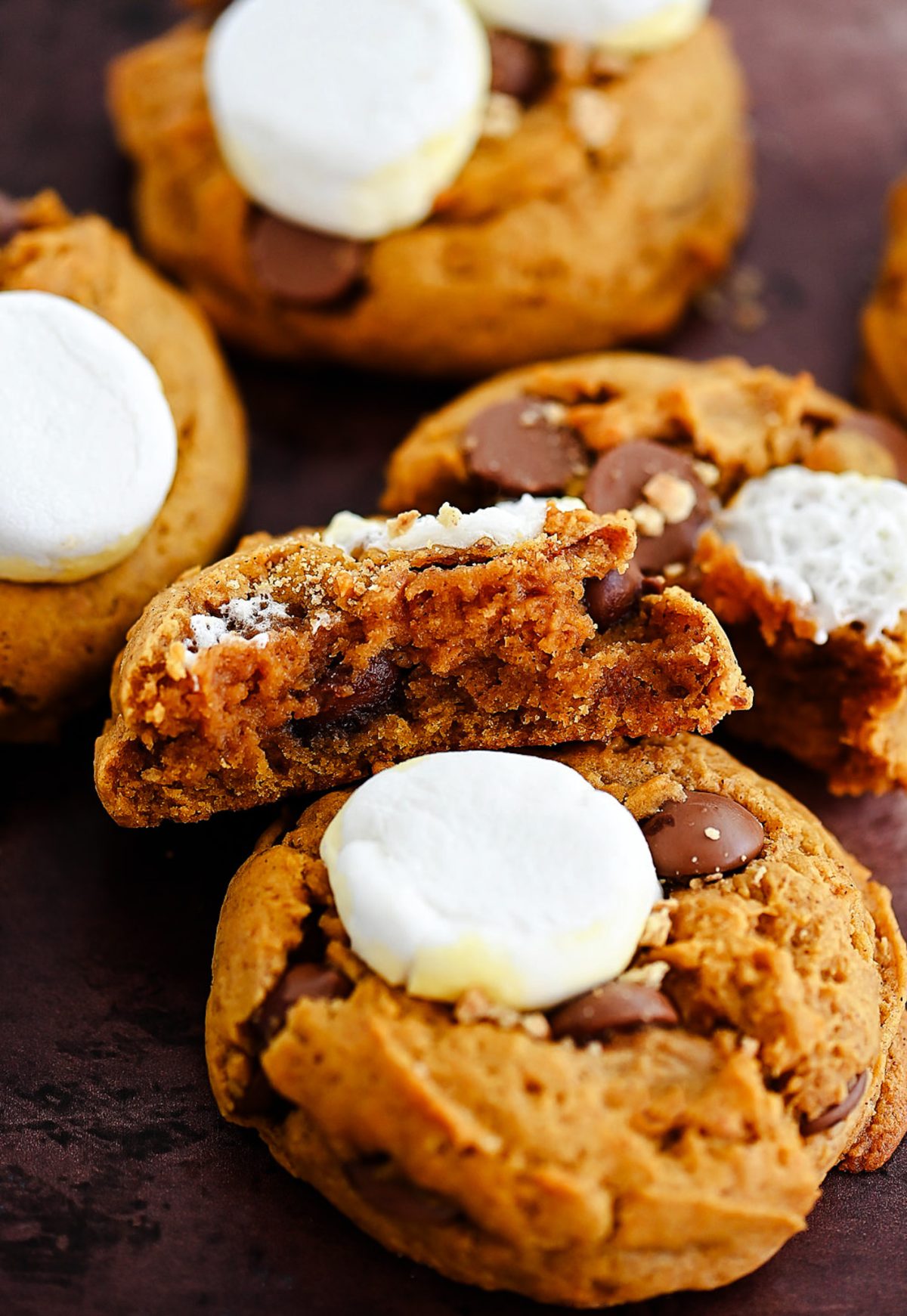 The Best Pumpkin S'mores Cookies