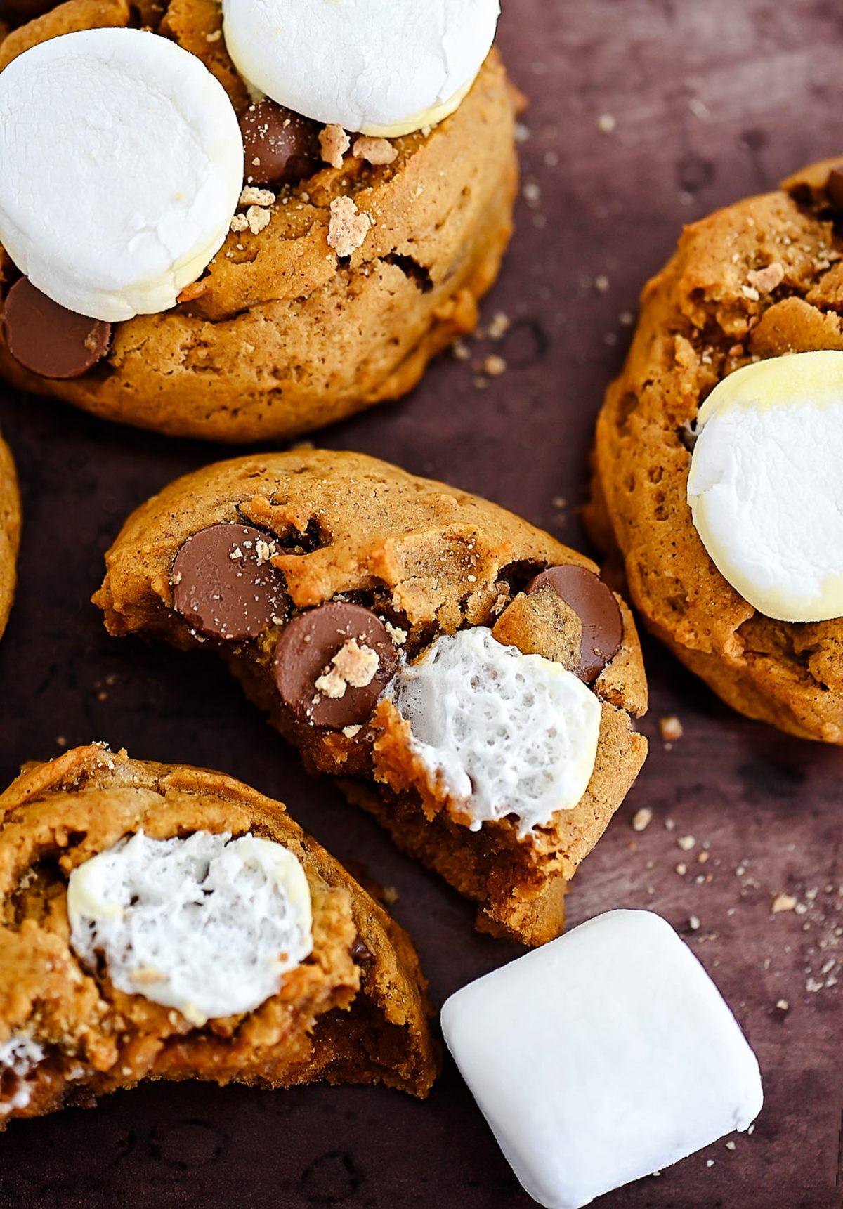 The Best Pumpkin S'mores Cookies