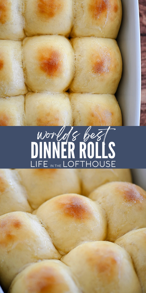 These World's Best Dinner Rolls are golden, soft, and so delicious. You'll want to make these rolls time and time again!