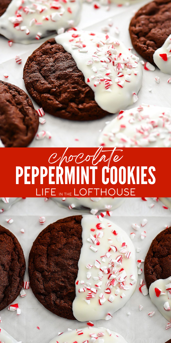 Chocolate Peppermint Cookies with white chocolate and crushed candy cane topping