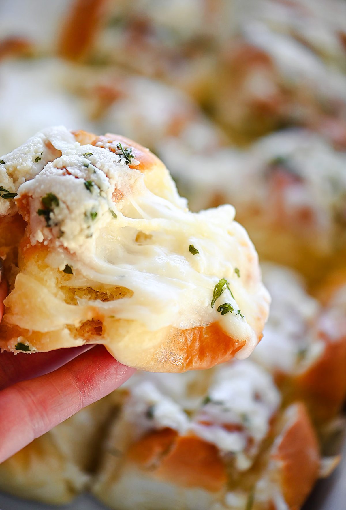 Cheesy Garlic Rolls