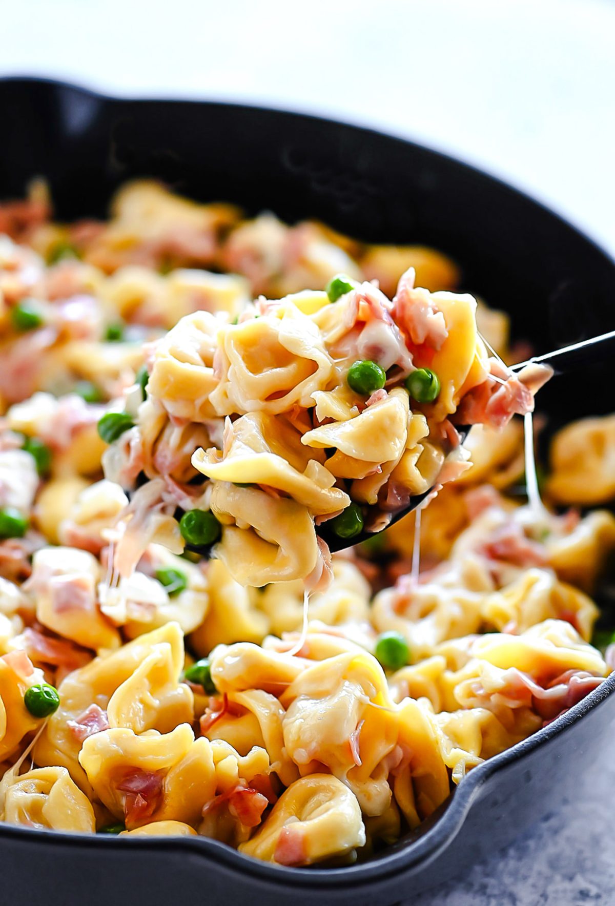 Ham, peas and a creamy sauce over cheese-filled tortellini. Life-in-the-Lofthouse.com