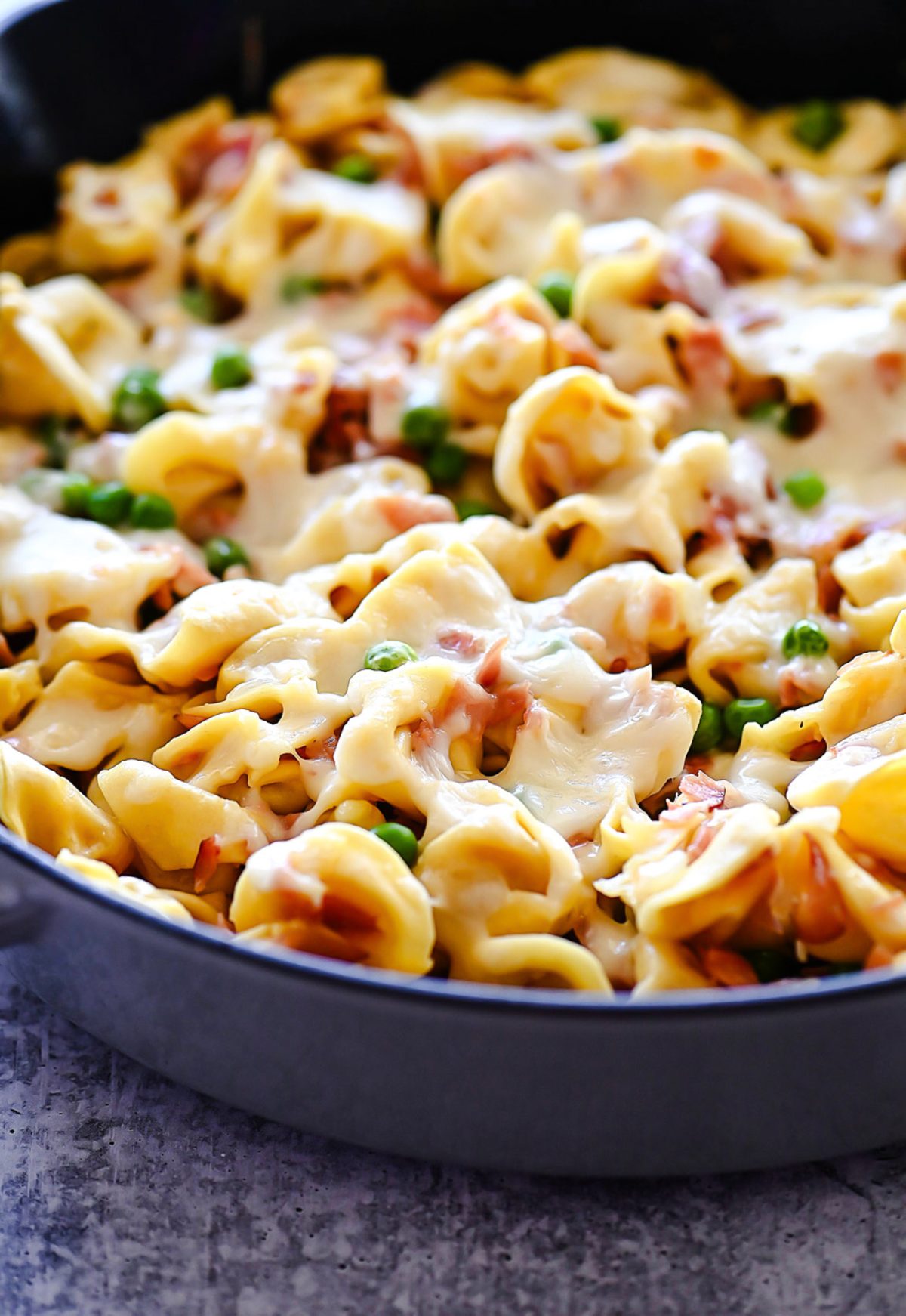 Ham, peas and a creamy sauce over cheese-filled tortellini. Life-in-the-Lofthouse.com