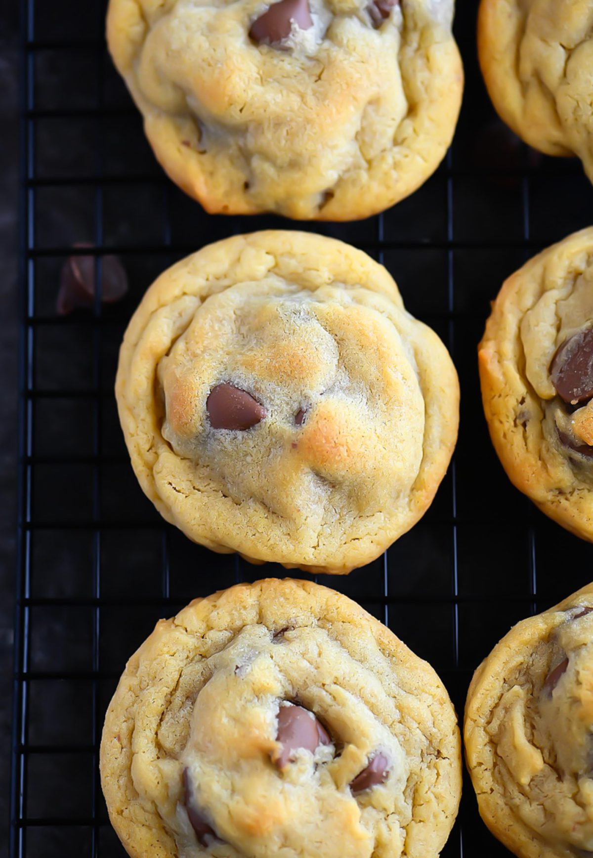 Chocolate Chip Pudding Cookies are delicious, soft chocolate chip cookies made with vanilla pudding mix. Life-in-the-Lofthouse.com