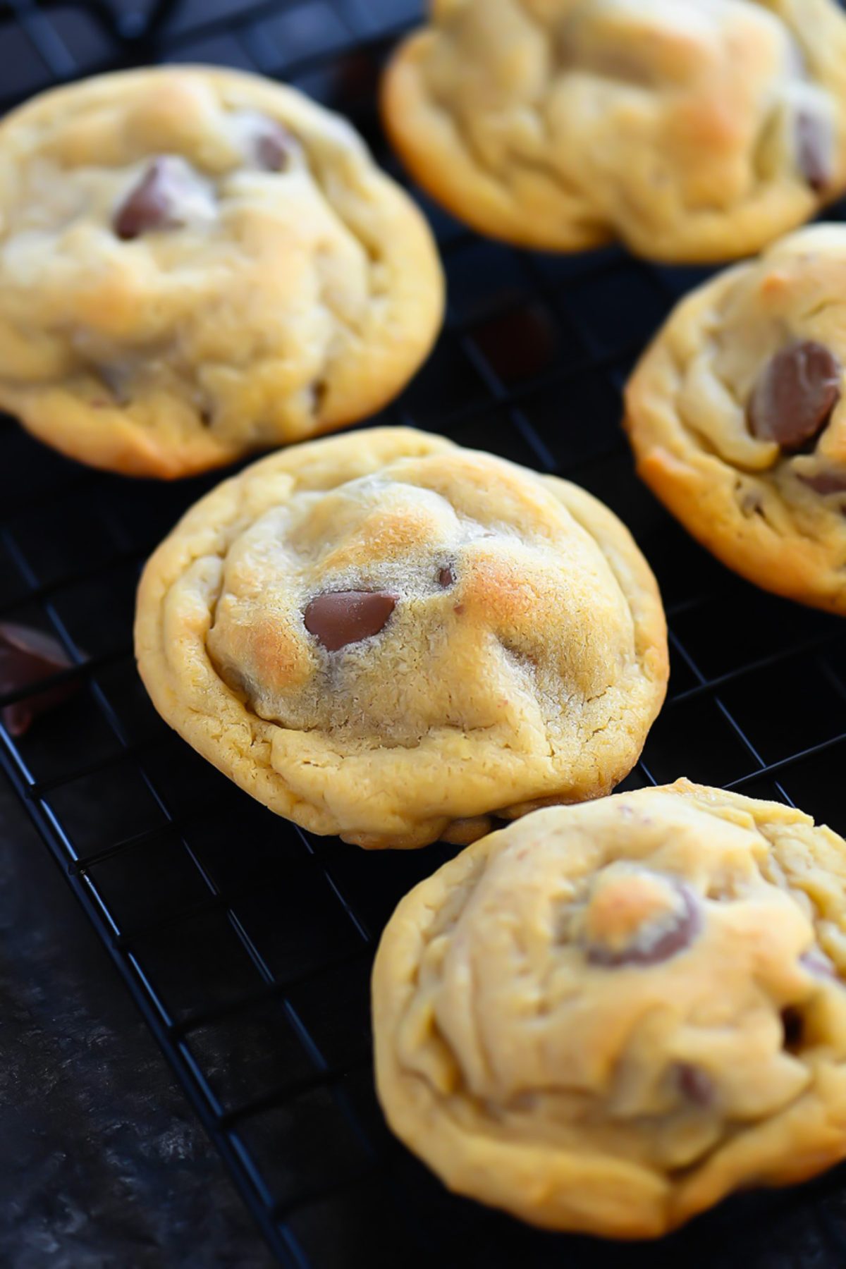 Chocolate Chip Pudding Cookies are delicious, soft chocolate chip cookies made with vanilla pudding mix. Life-in-the-Lofthouse.com