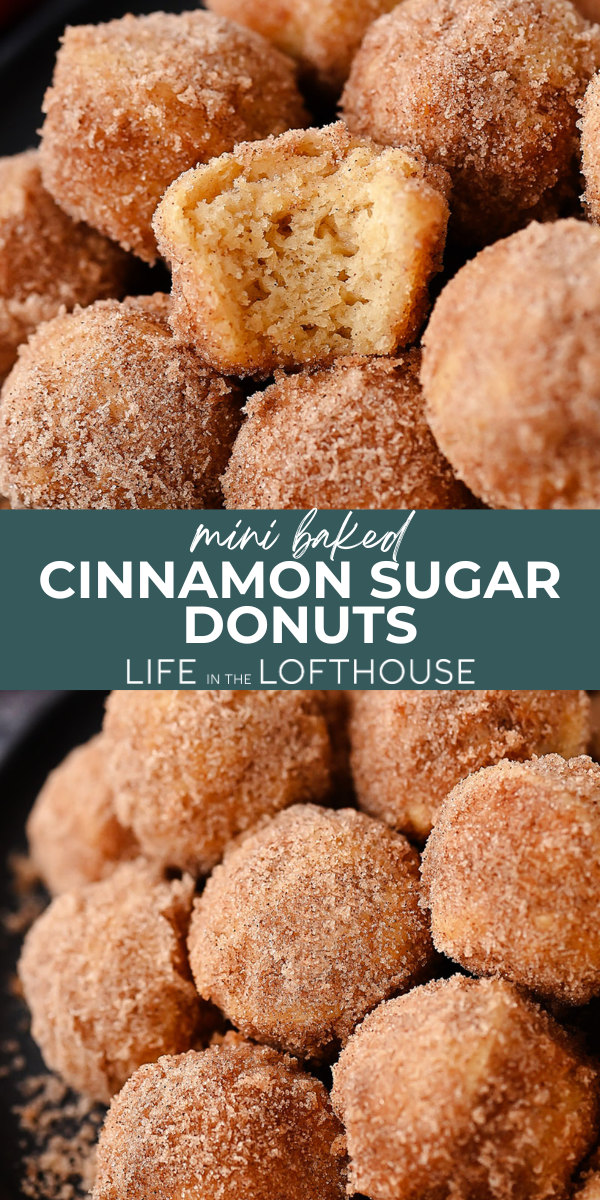 Mini Baked Cinnamon Sugar Donuts PIN